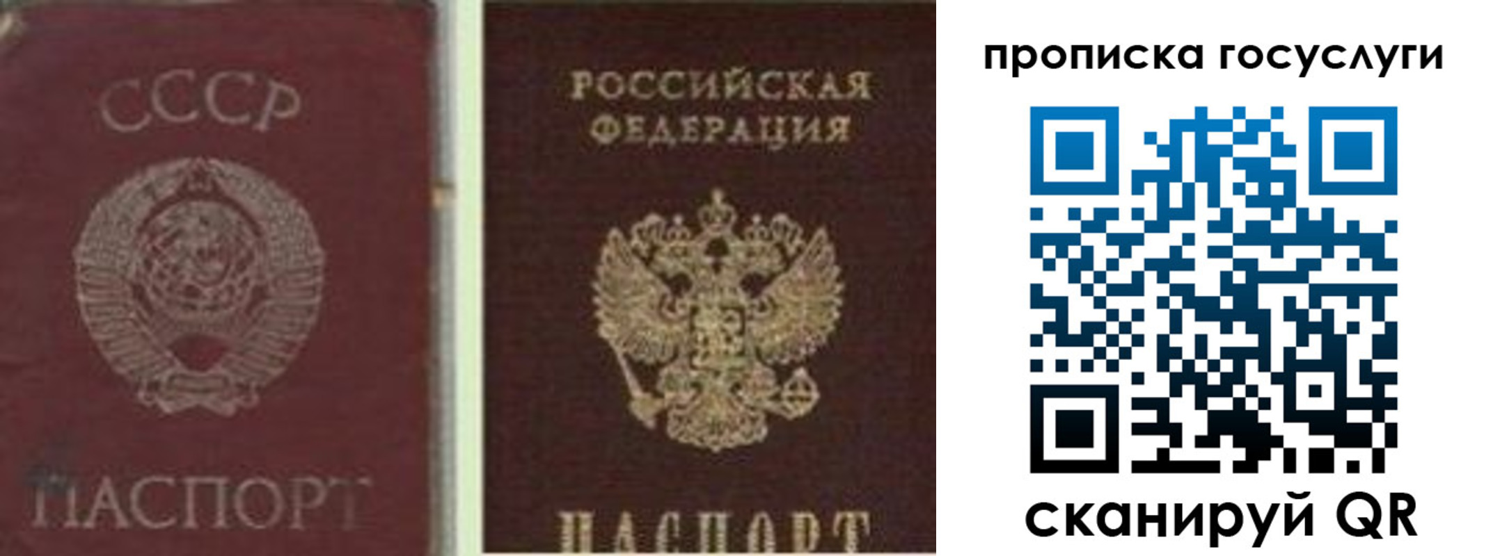 временная регистрация 2025 в Рыбном